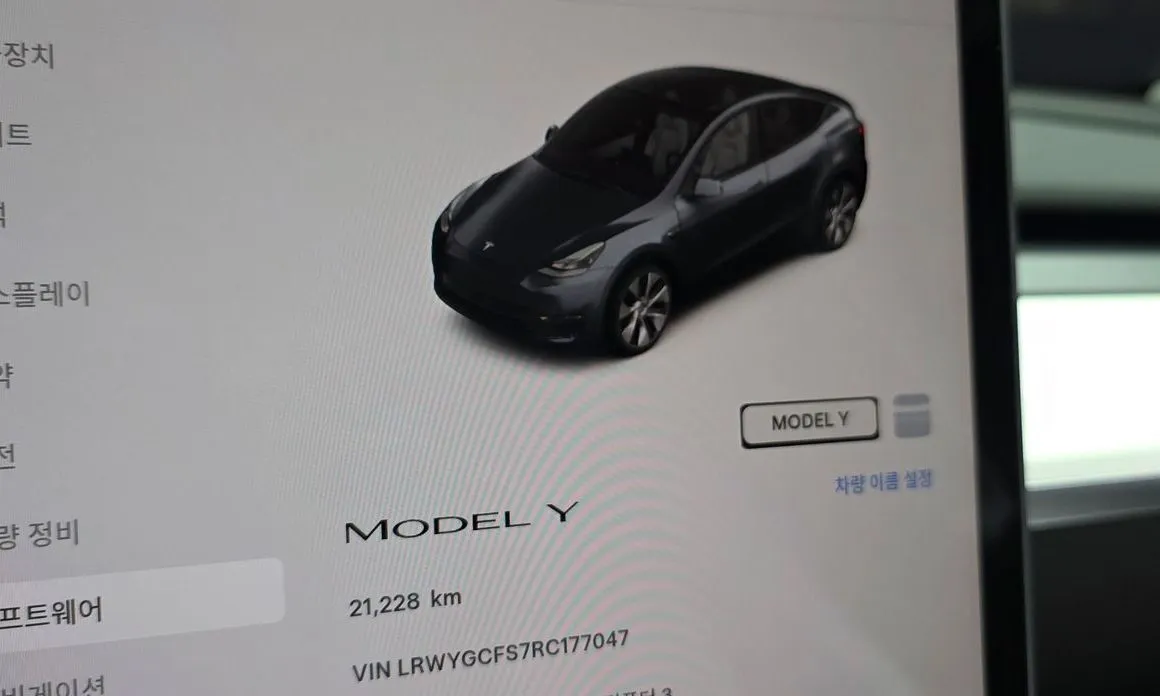 Tesla Model Y — фото 3