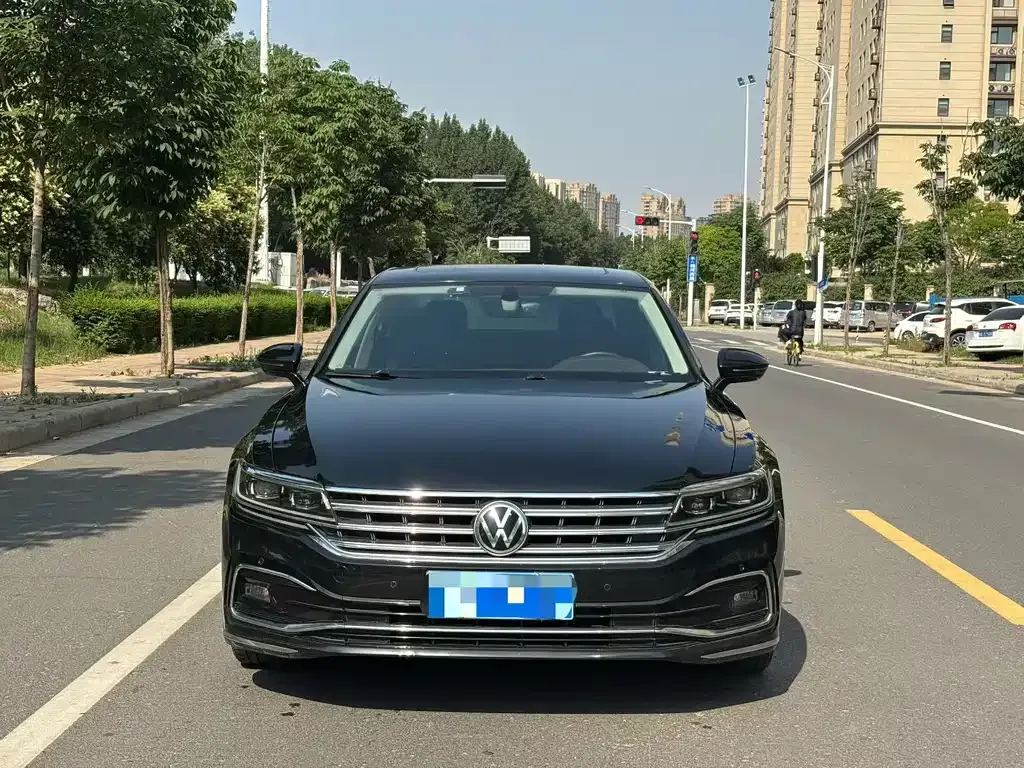 Volkswagen Phideon — фото 8