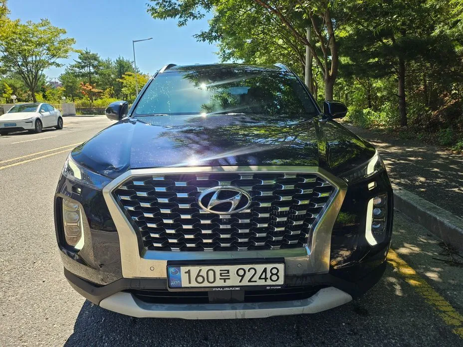 Hyundai Palisade — фото 1