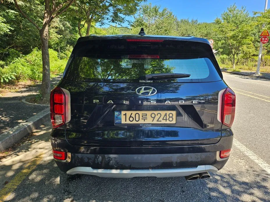 Hyundai Palisade — фото 9