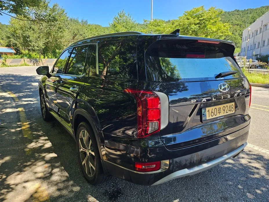 Hyundai Palisade — фото 6