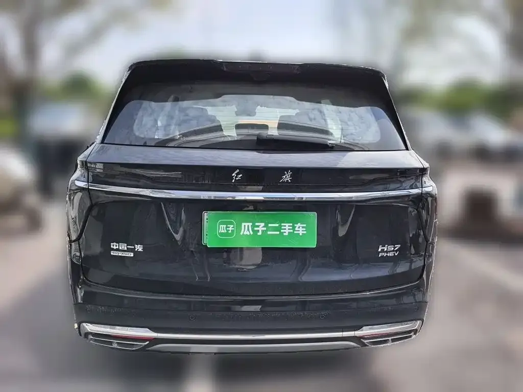 Hongqi HS7 PHEV — фото 6