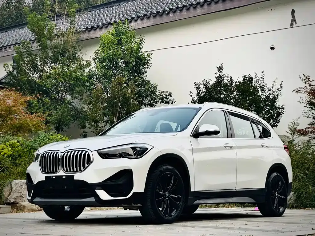 BMW X1 — фото 1