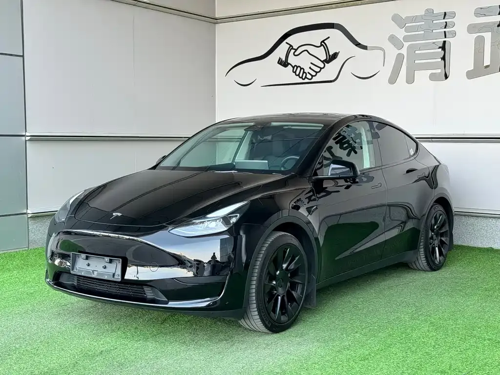 Tesla Model Y — фото 1