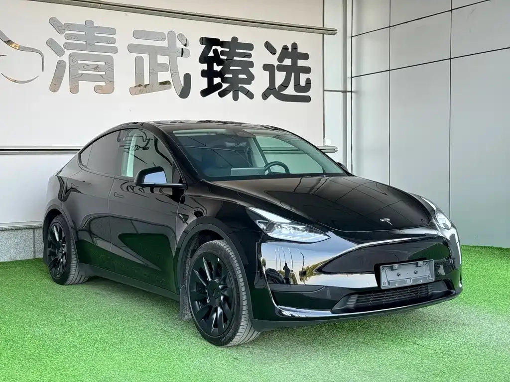 Tesla Model Y — фото 8