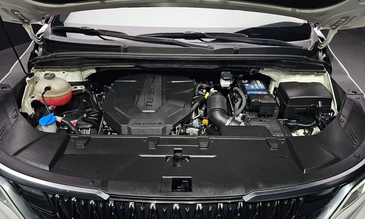 Kia Carnival — фото 10