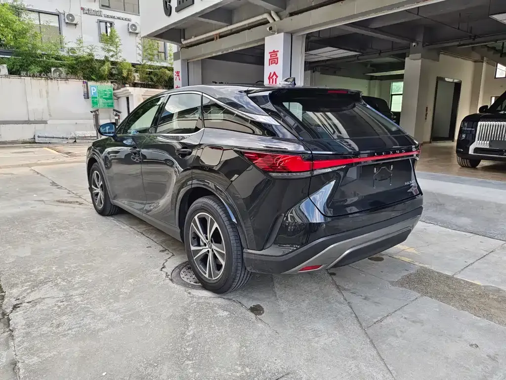 Lexus RX — фото 9