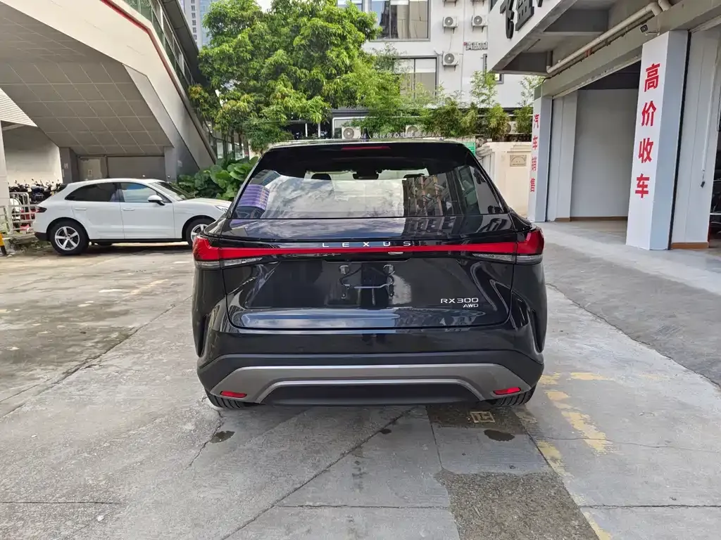 Lexus RX — фото 10