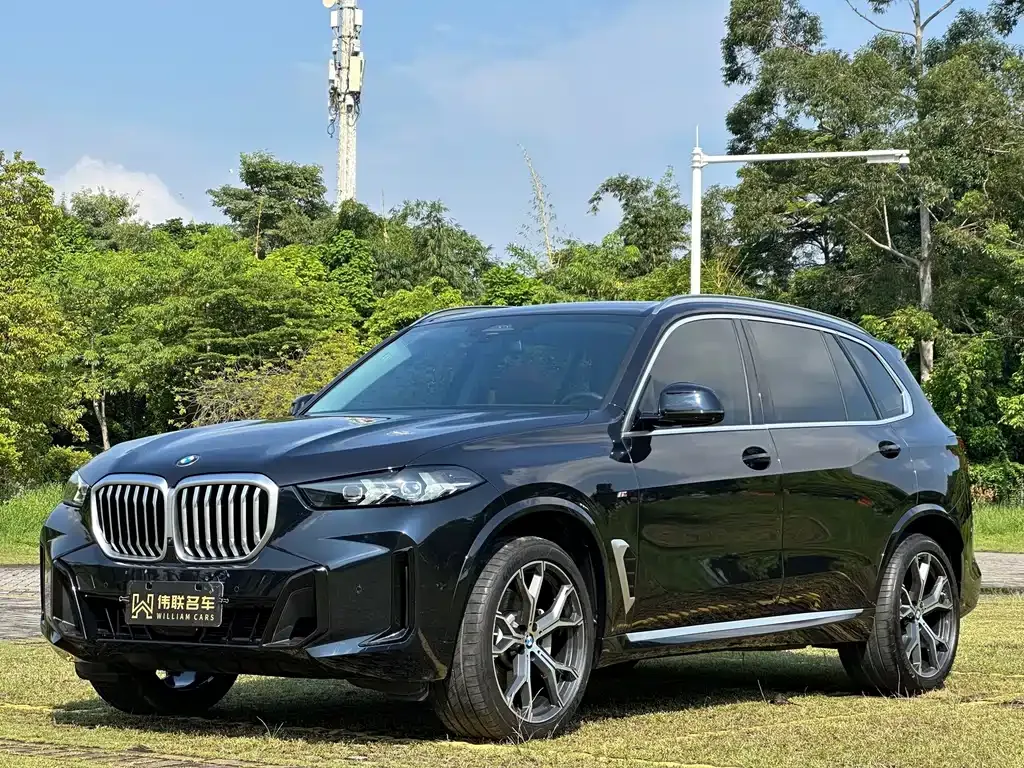 BMW X5 — фото 1