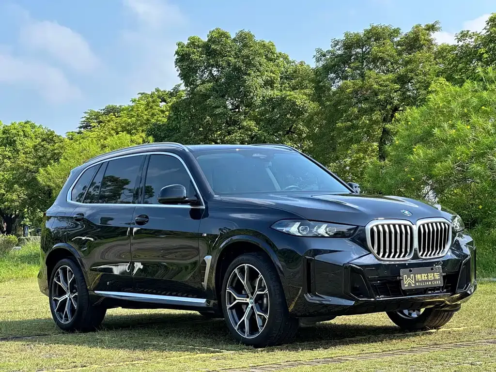 BMW X5 — фото 5