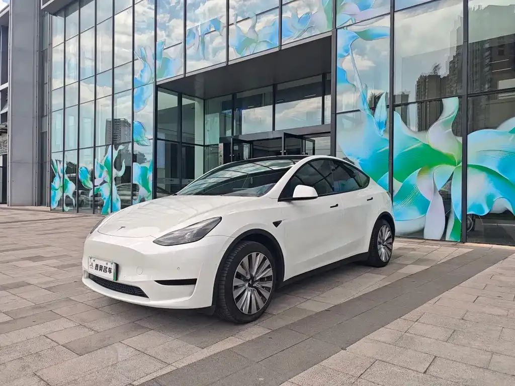 Tesla Model Y — фото 1