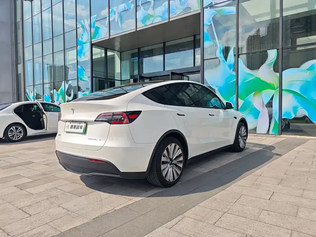 Tesla Model Y — фото 5