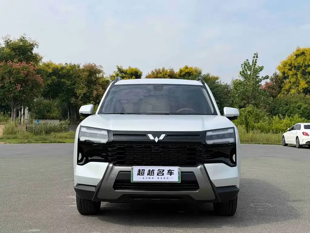 Wuling Xingguang 560 New Energy — фото 7