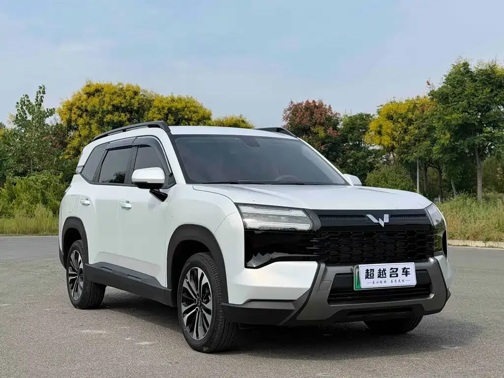 Wuling Xingguang 560 New Energy — фото 9