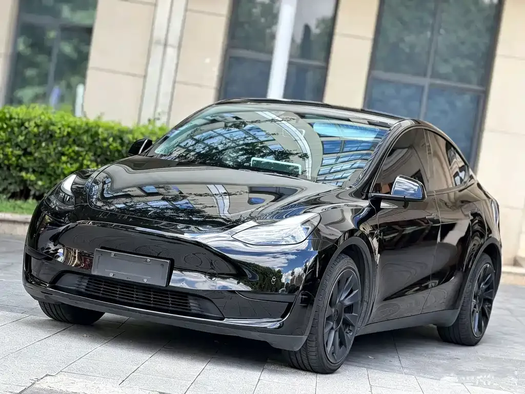 Tesla Model Y — фото 1