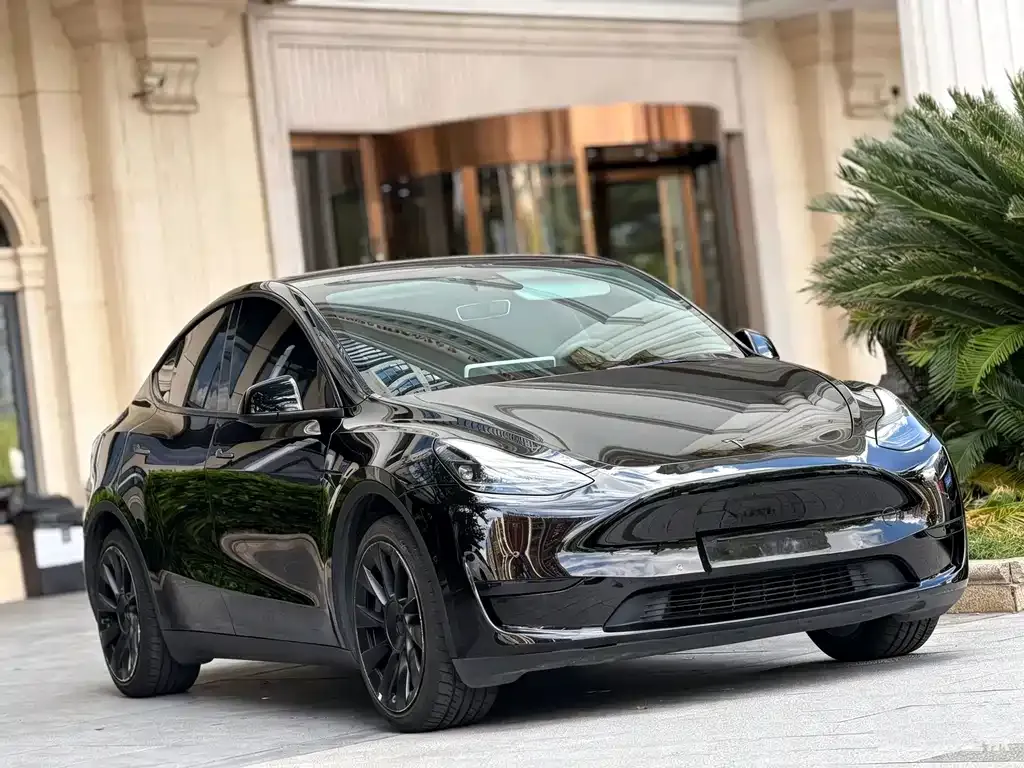 Tesla Model Y — фото 5