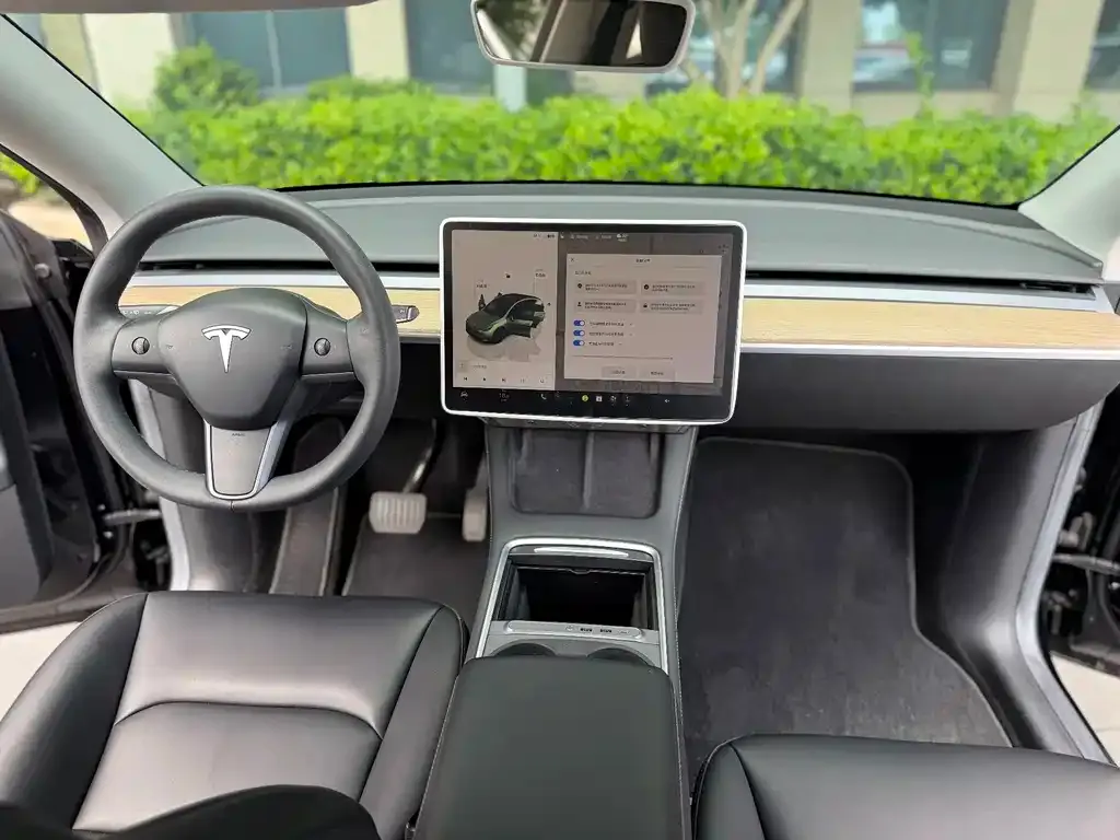 Tesla Model Y — фото 8