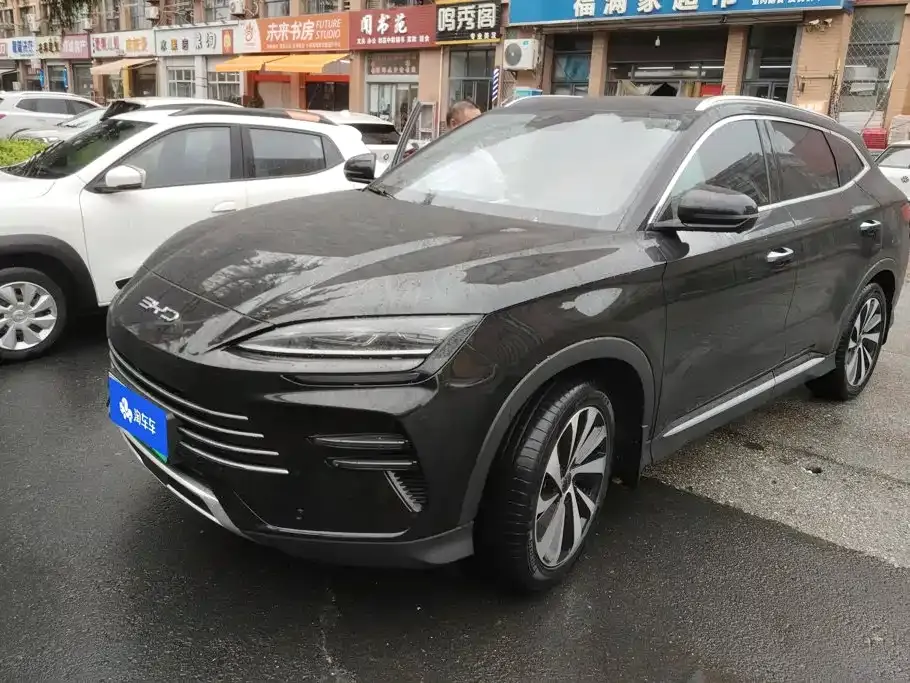 BYD PLUS New Energy — фото 1