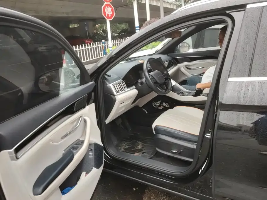 BYD PLUS New Energy — фото 4