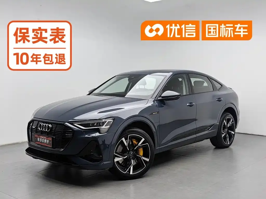 Audi e-tron (Import) — фото 1