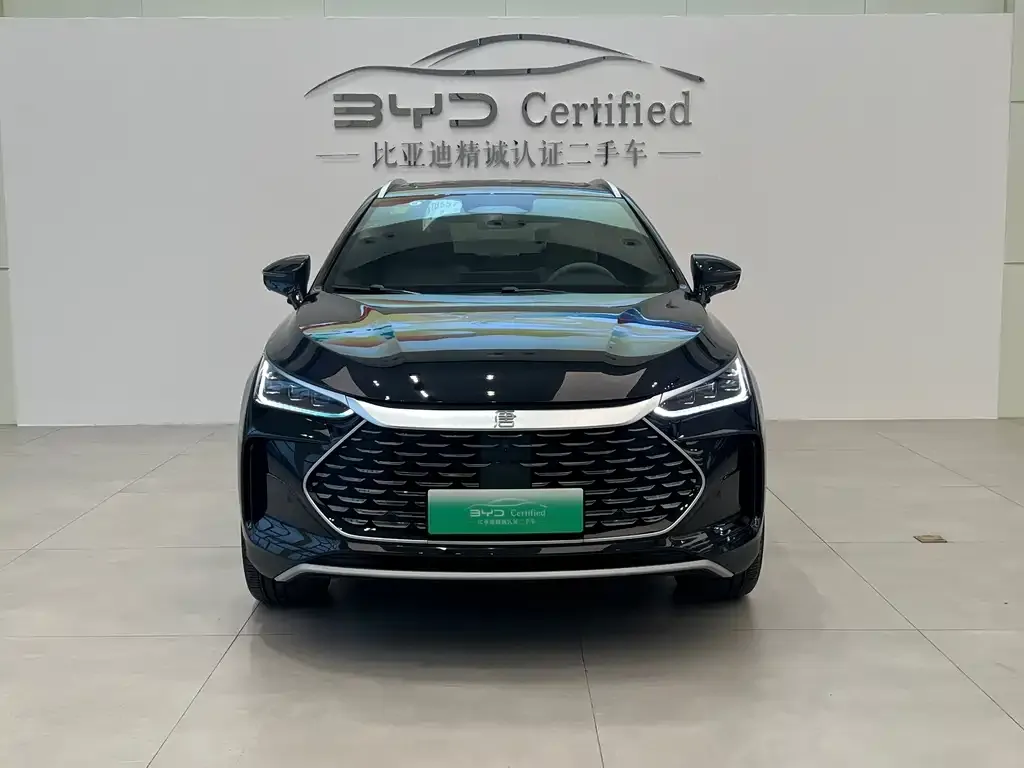 BYD Tang New Energy — фото 2