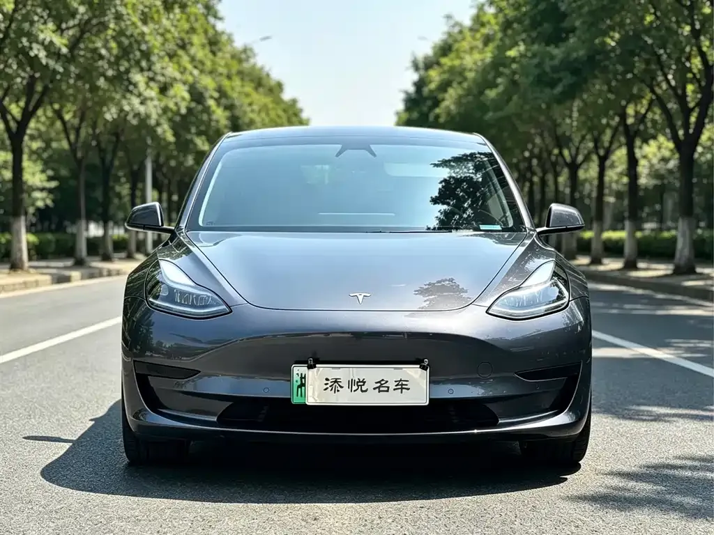Tesla Model 3 — фото 1