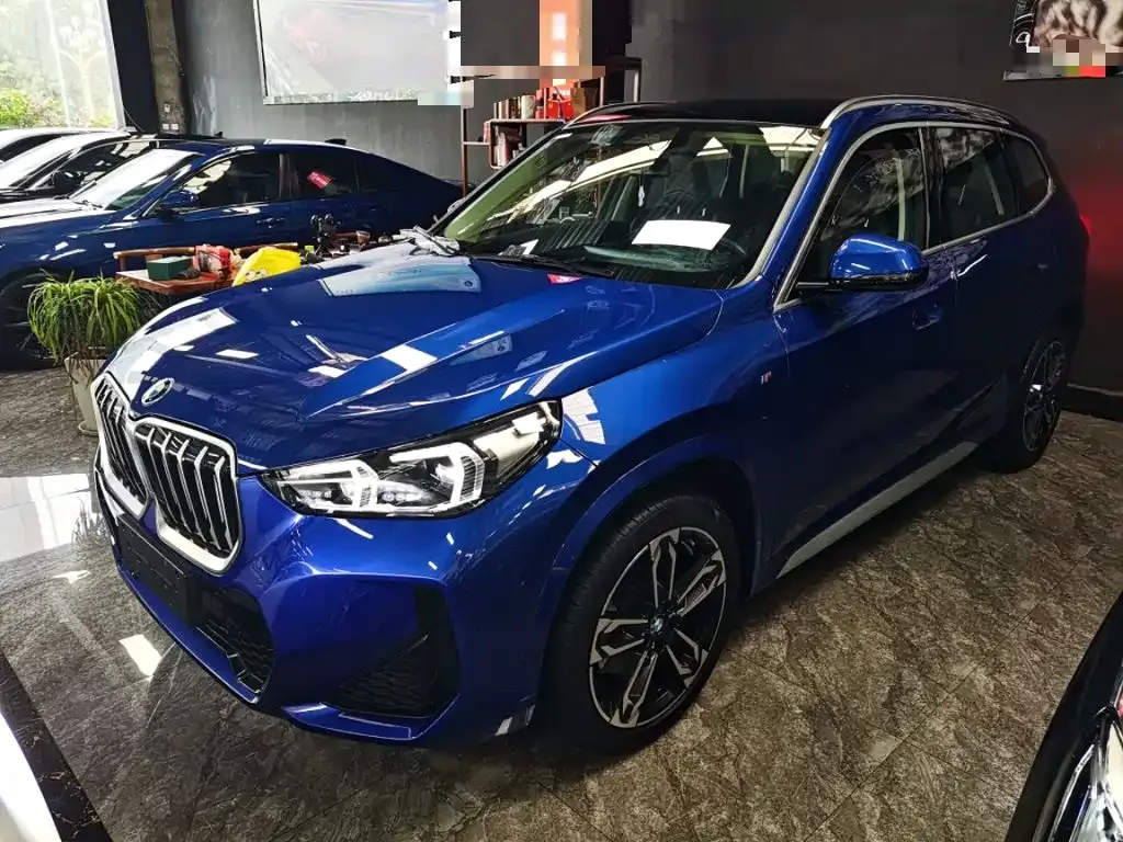 BMW X1 — фото 1