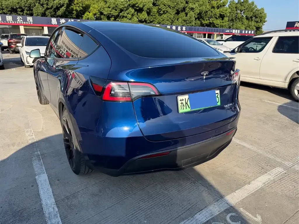 Tesla Model Y — фото 6