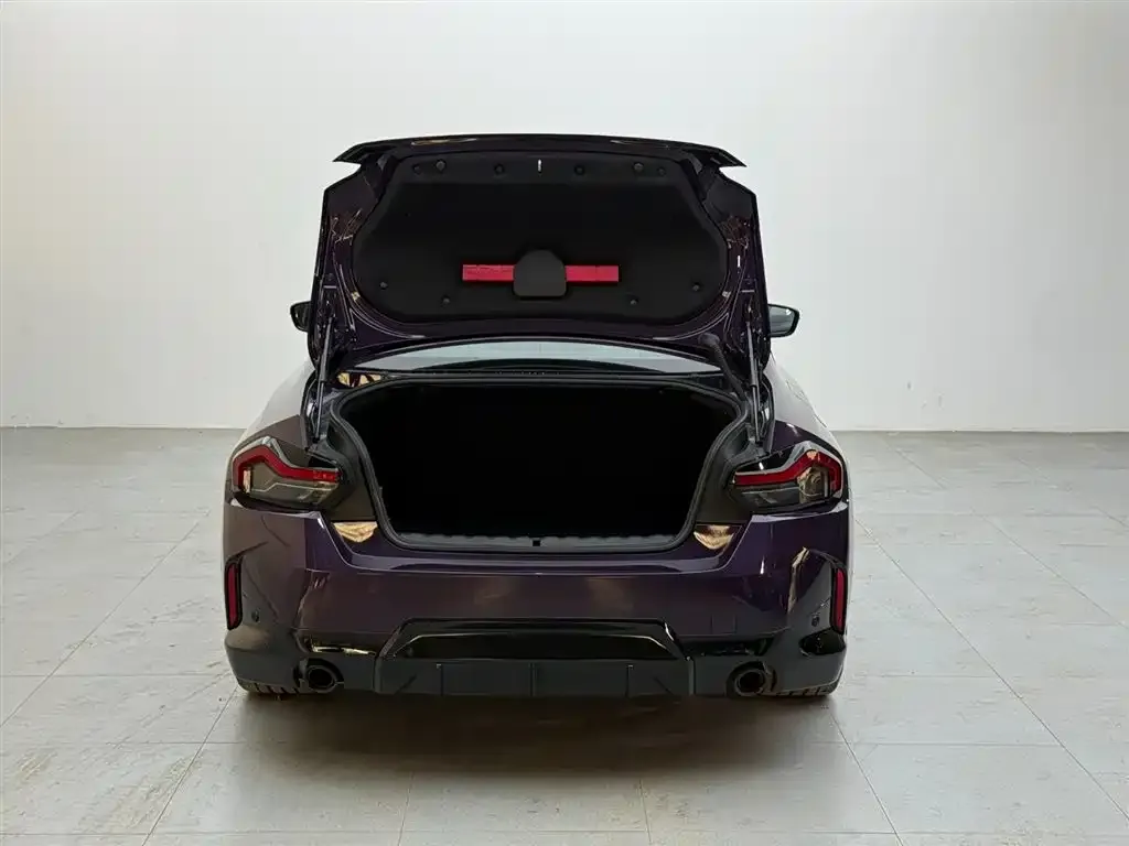 BMW 2 Series (Import) — фото 10