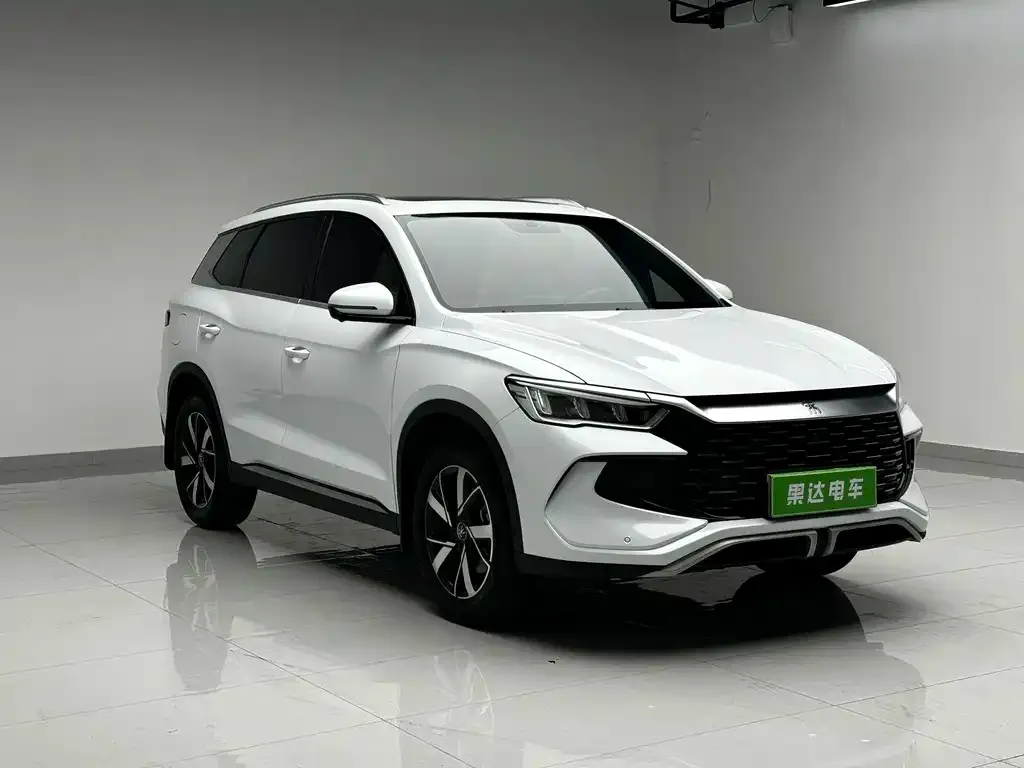 BYD Pro New Energy — фото 3