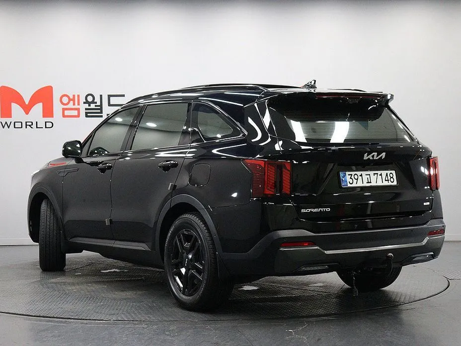 Kia Sorento — фото 6
