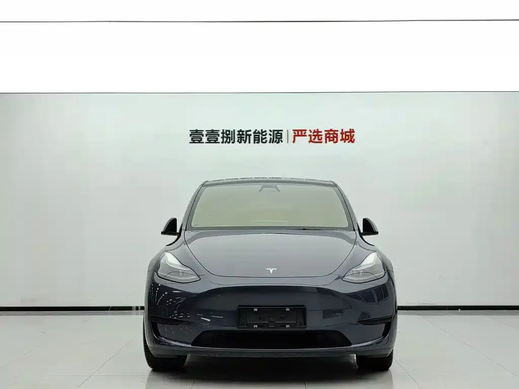 Tesla Model Y — фото 2