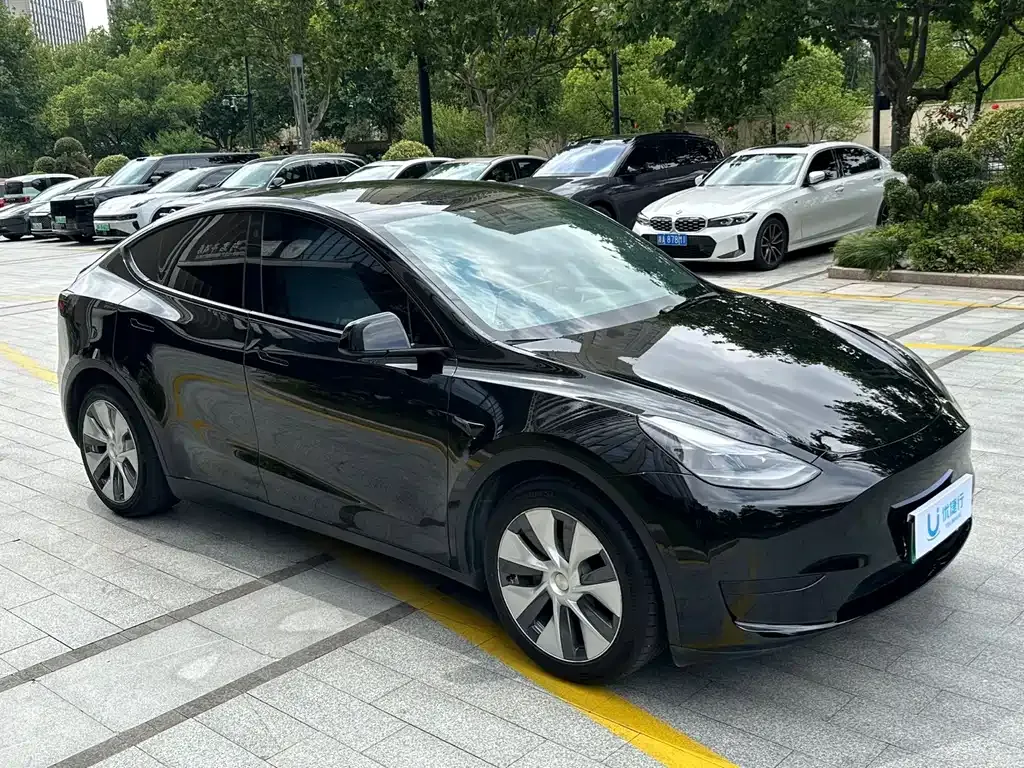 Tesla Model Y — фото 7