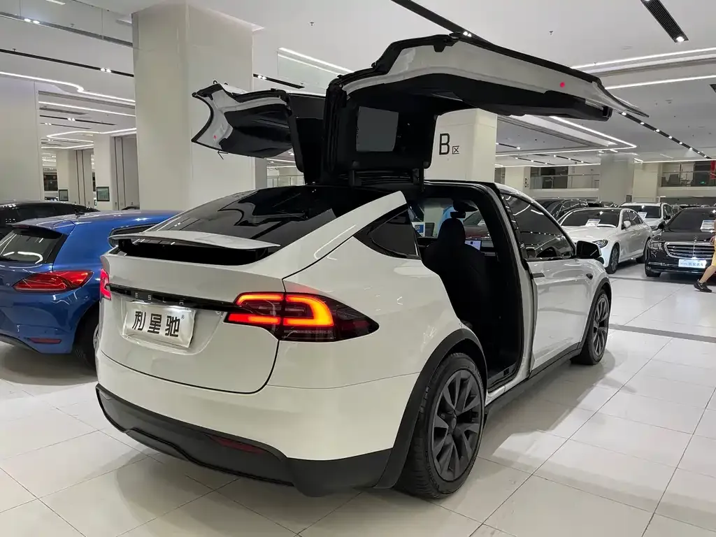 Tesla Model X — фото 6