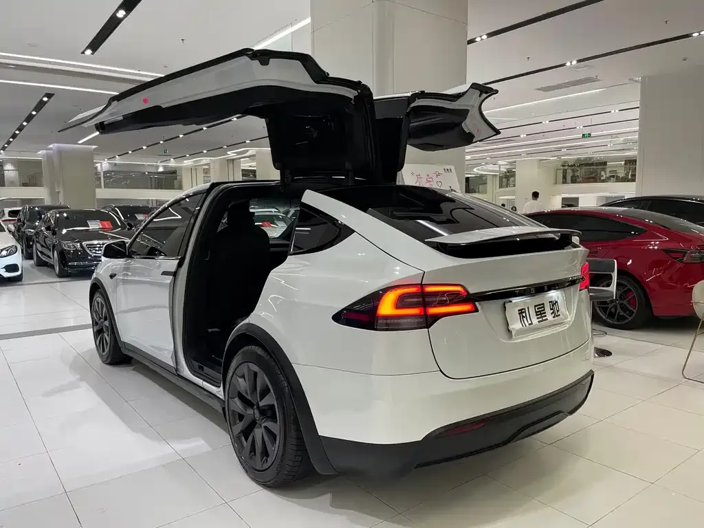 Tesla Model X — фото 10