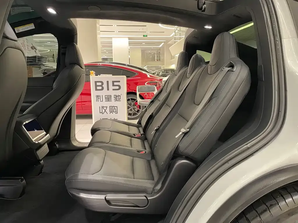 Tesla Model X — фото 4