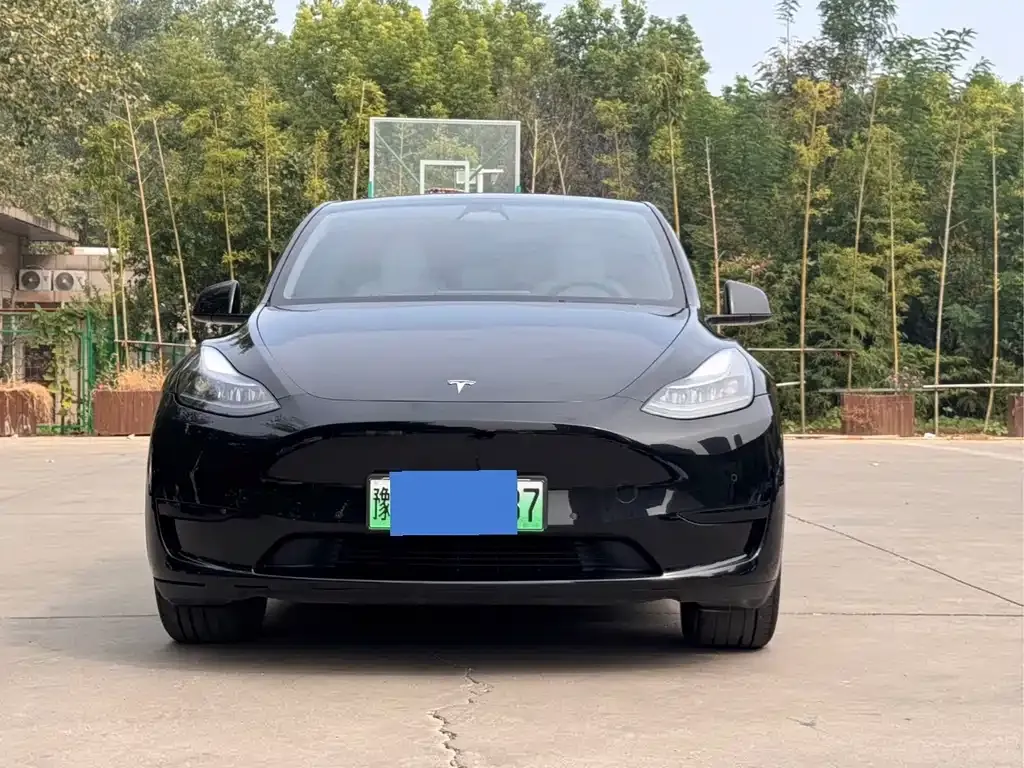 Tesla Model Y — фото 1