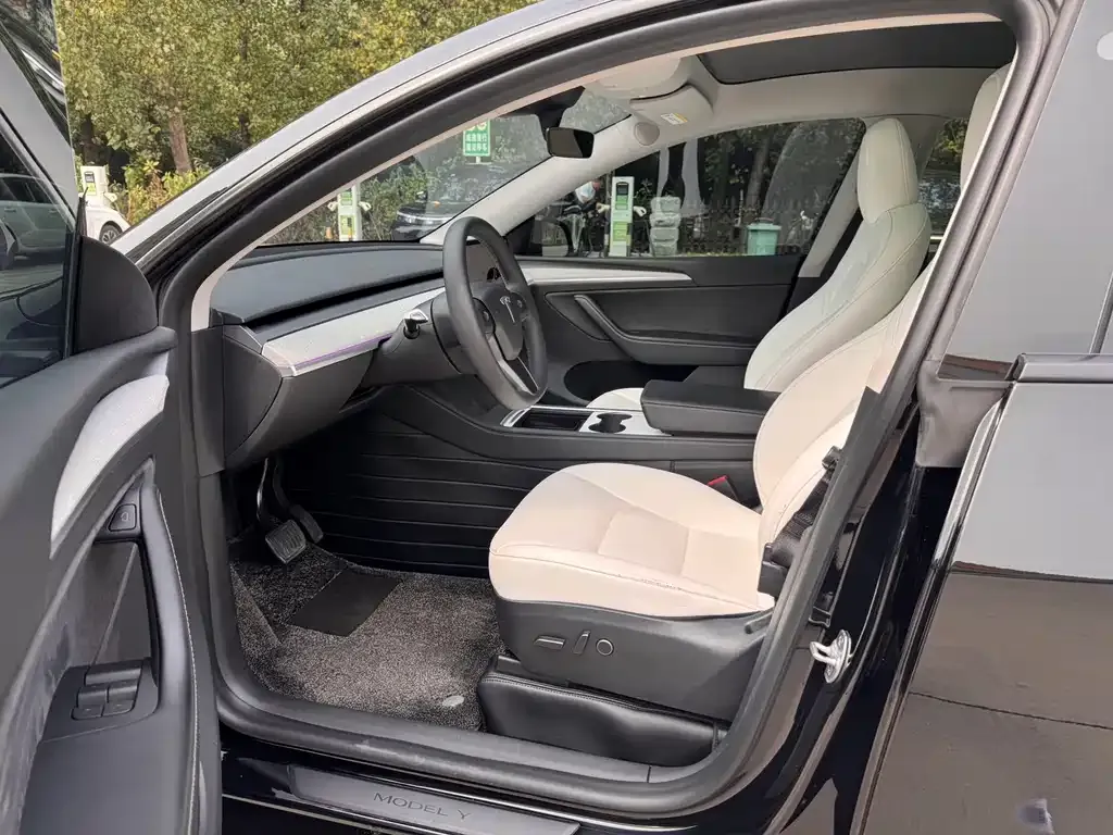 Tesla Model Y — фото 6