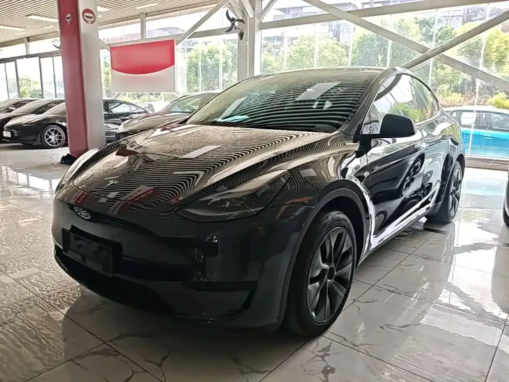 Tesla Model Y — фото 1