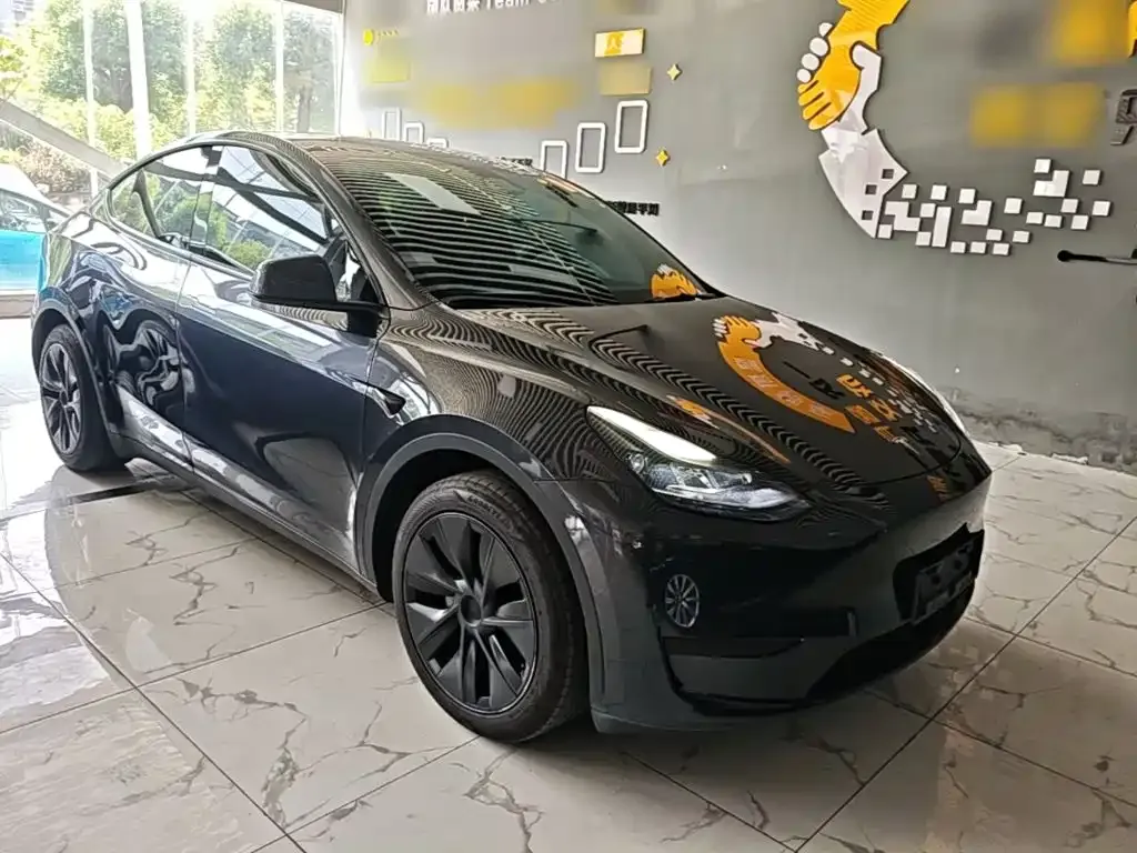 Tesla Model Y — фото 8