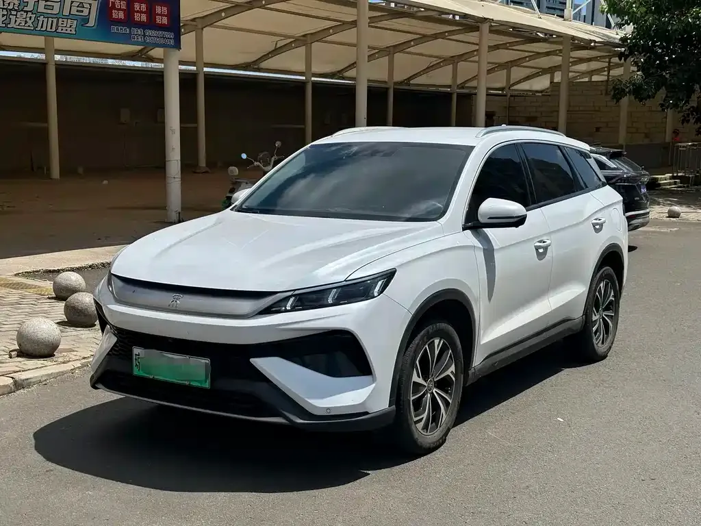 BYD Pro New Energy — фото 1
