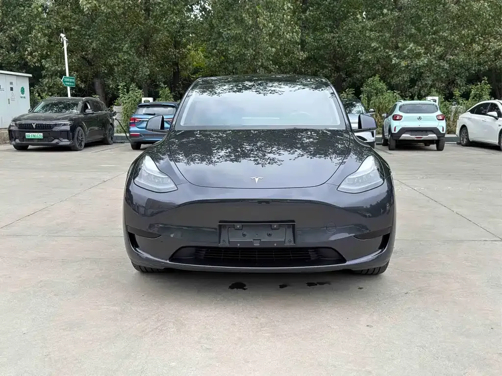 Tesla Model Y — фото 10