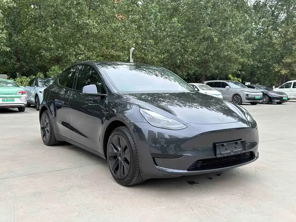 Tesla Model Y — фото 9