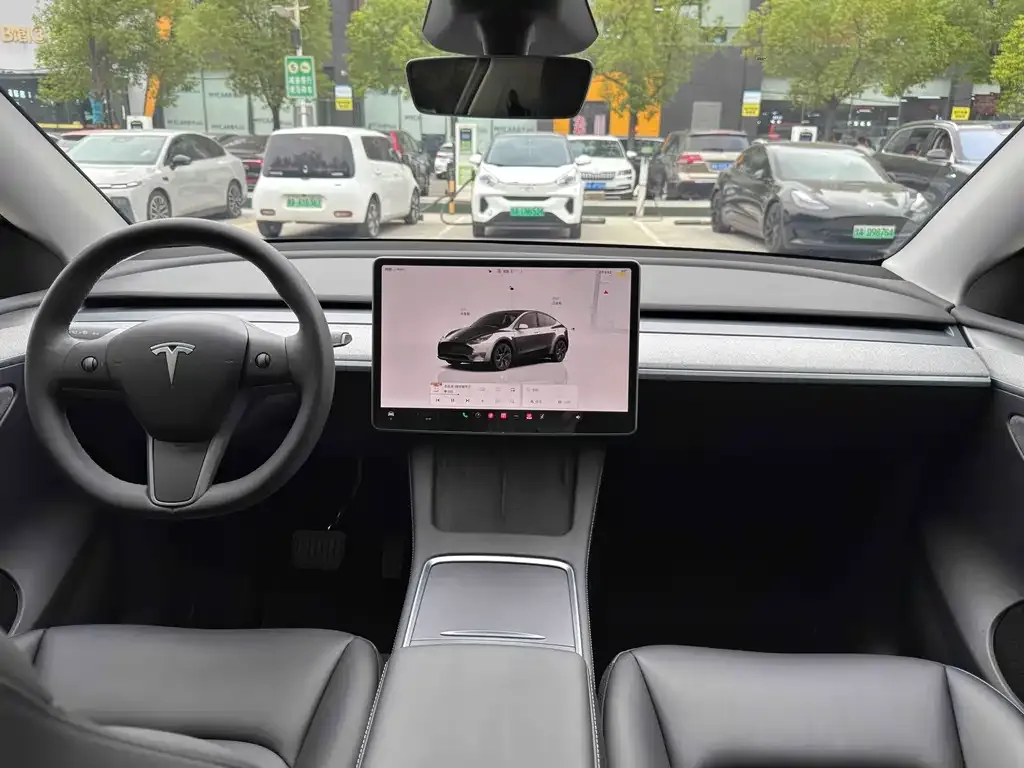 Tesla Model Y — фото 2