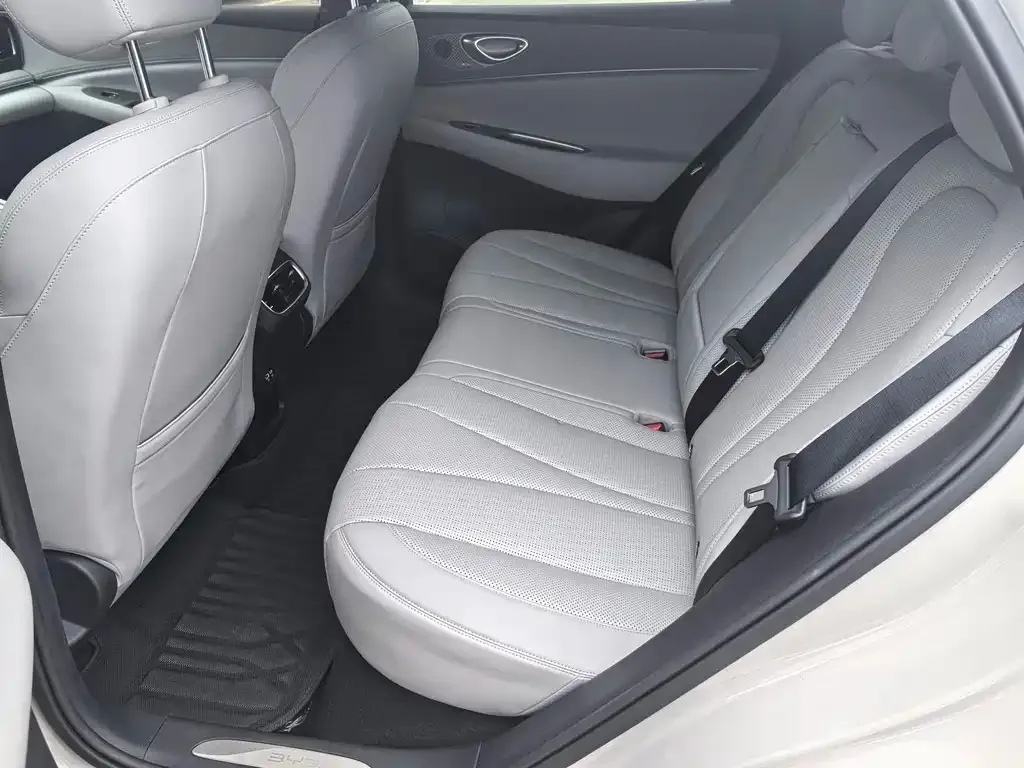 BYD Sealion 06 — фото 8