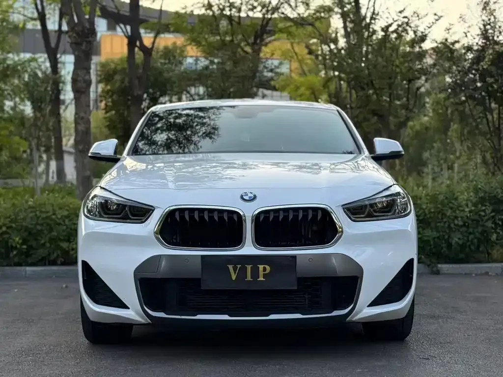 BMW X2 — фото 8