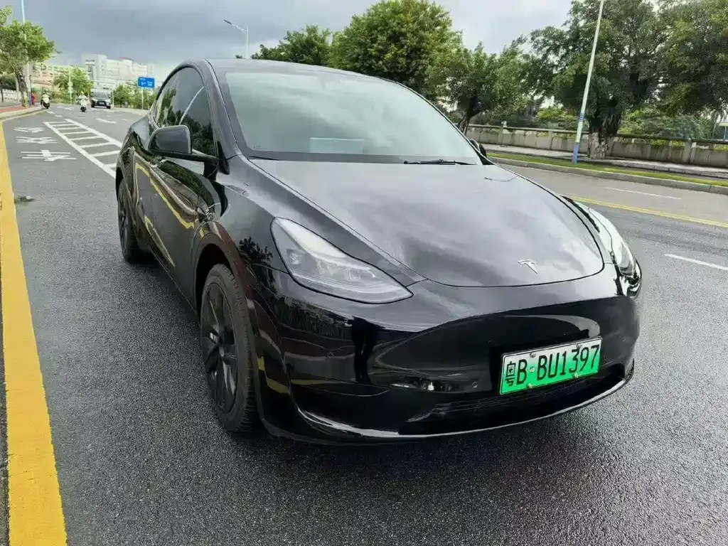 Tesla Model Y — фото 4