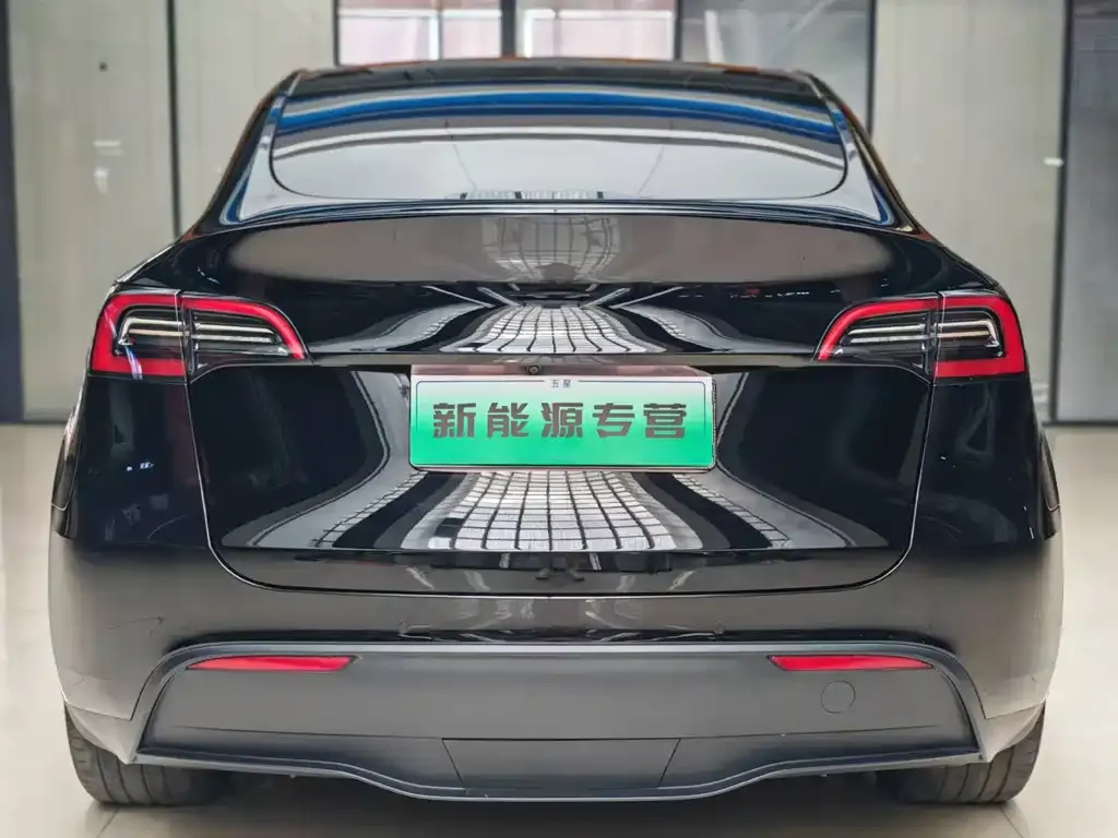 Tesla Model Y — фото 9