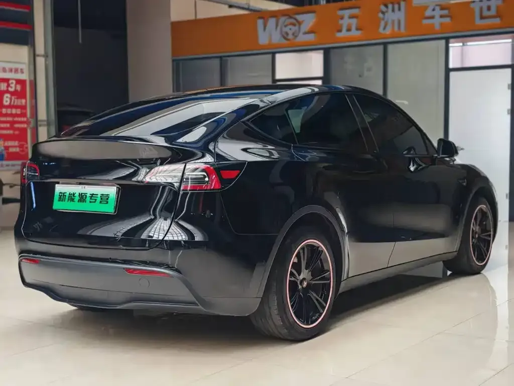 Tesla Model Y — фото 2