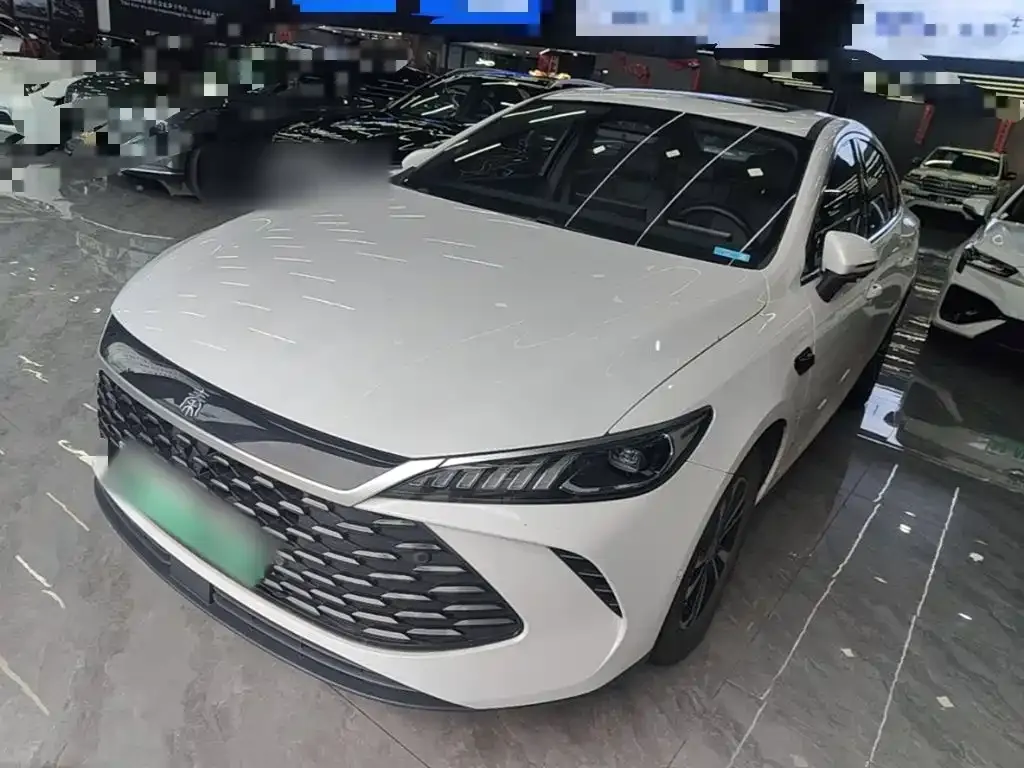 BYD Qin PLUS — фото 1